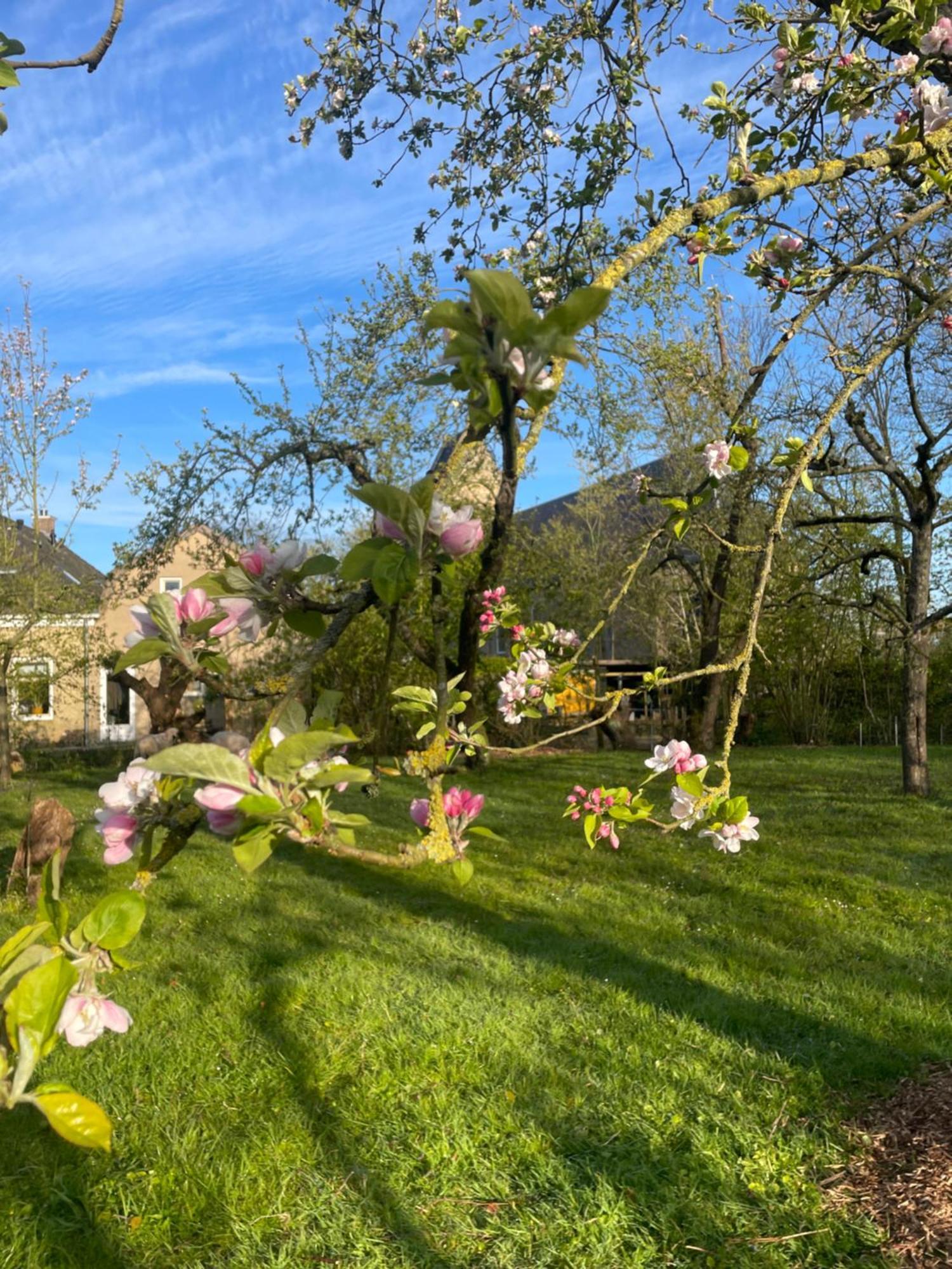 Appartement De Dageraad In Monumentale Boerderij Kimswerd Екстериор снимка