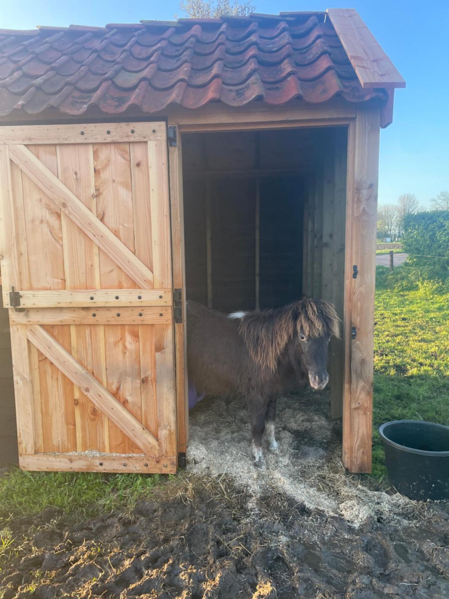 Appartement De Dageraad In Monumentale Boerderij Kimswerd Екстериор снимка
